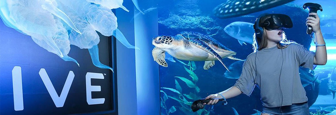 DUBAI AQUARIUM AND UNDERWATER ZOO & أكواريوم وحديقة الحيوانات المائية - Image 5