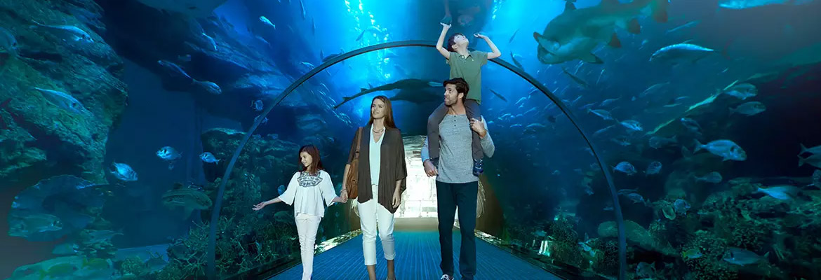 DUBAI AQUARIUM AND UNDERWATER ZOO & أكواريوم وحديقة الحيوانات المائية - Image 4