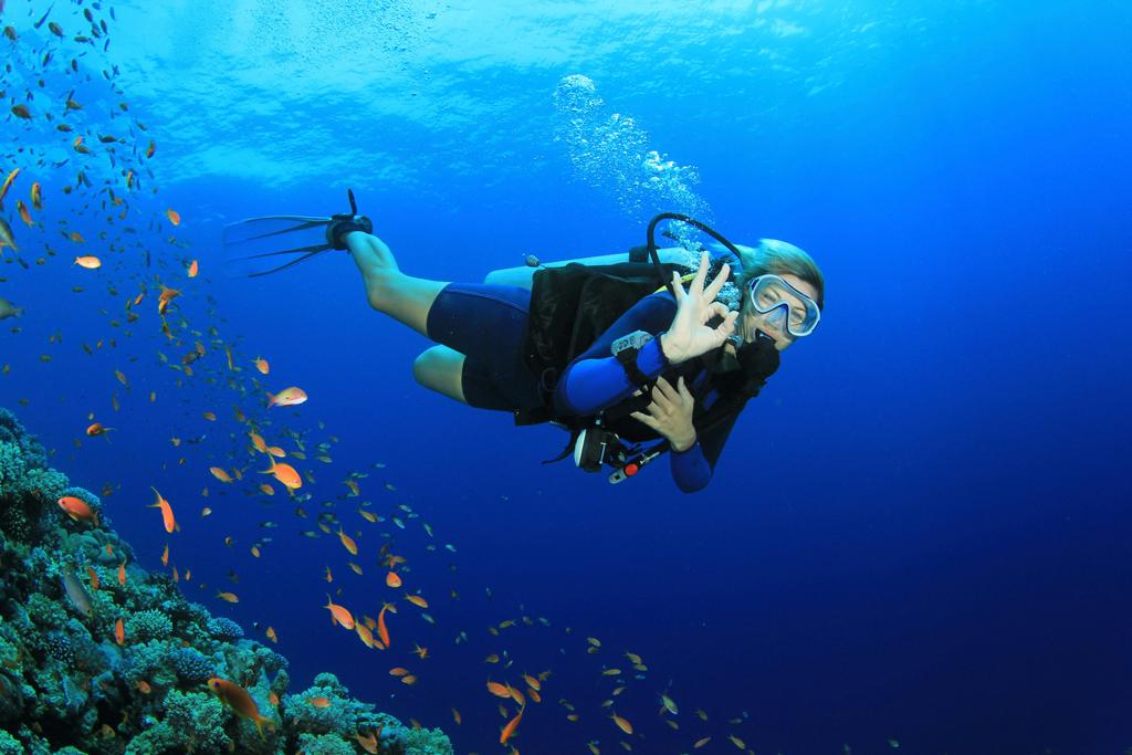 Scuba Diving Tour & جولة الغوص - Image 2