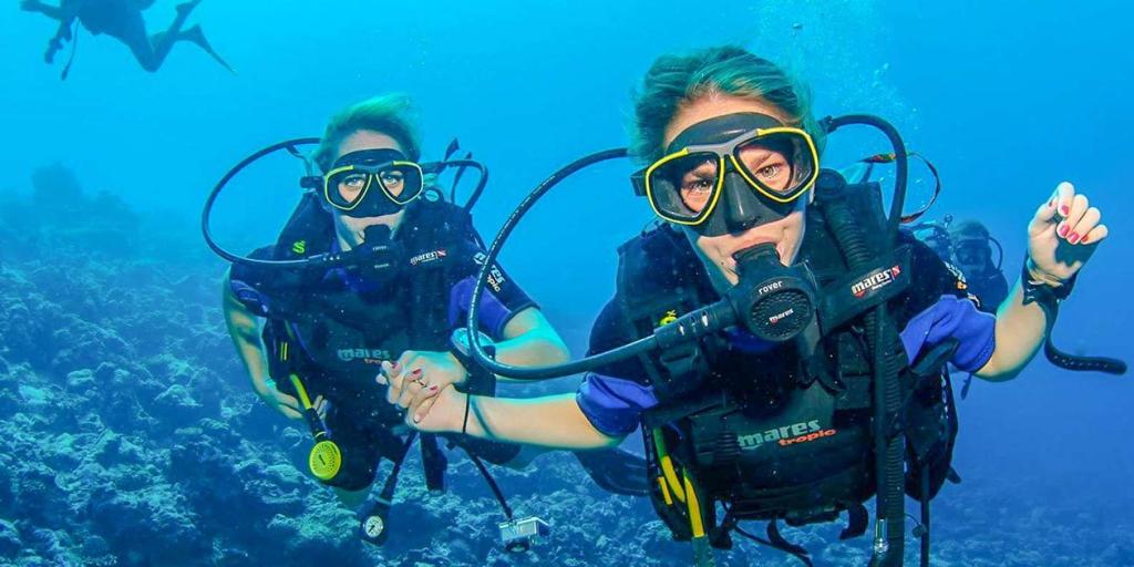 Scuba Diving Tour & جولة الغوص - Image 5