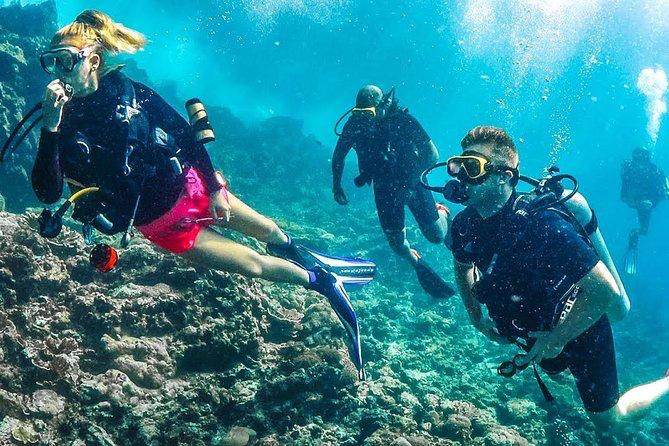 Scuba Diving Tour & جولة الغوص - Image 4