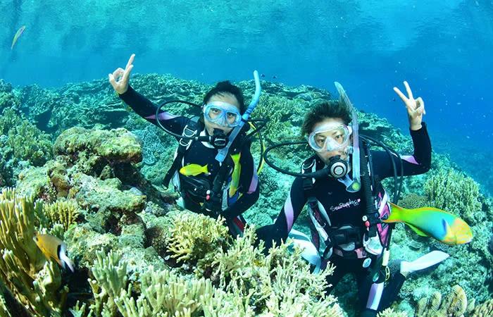 Scuba Diving Tour & جولة الغوص - Image 3