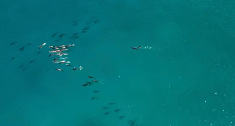 Exclusive full-day trip in Maldives "ALL at once!" &رحلة بحرية ليوم كامل في جزر المالديف - Image 4