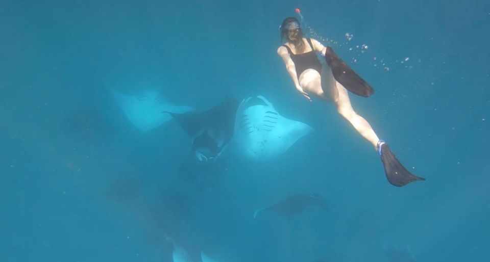 Exclusive full-day trip in Maldives "ALL at once!" &رحلة بحرية ليوم كامل في جزر المالديف - Image 3