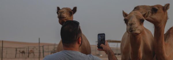 Desert Safari Abu Dhabi & - Image 5