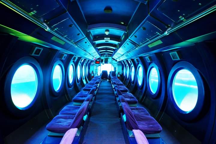 WHALE SUBMARINE
