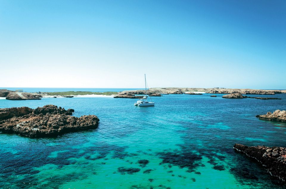 From Muscat: Dimaniyat Islands Snorkeling Tour
