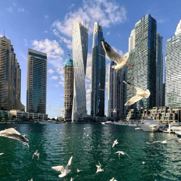 Private Dubai city tour fullday Guided Tour (Per Group) - Image 7
